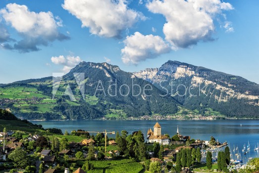 Picture of Montreux City Switzerland View of the Mountains and City